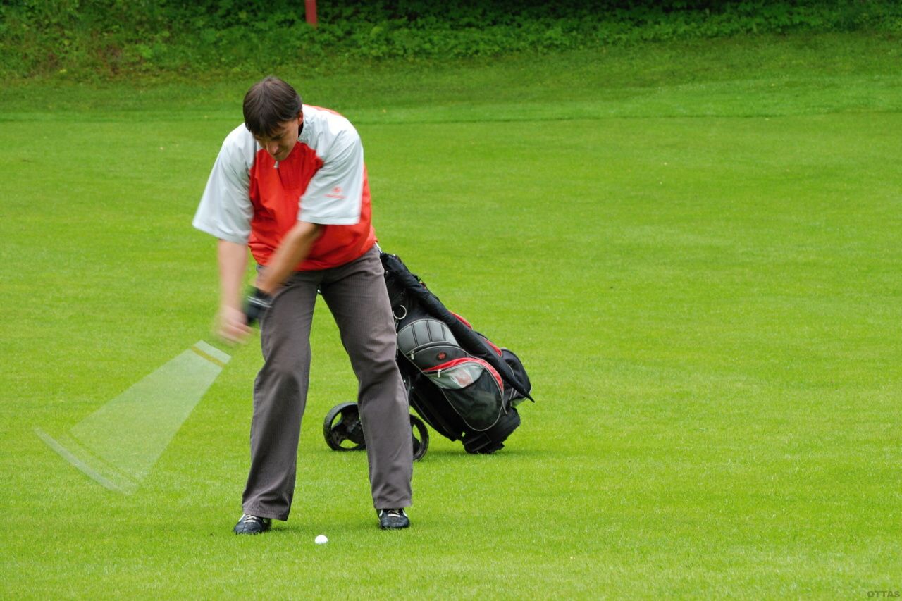 PDGC 2010 55