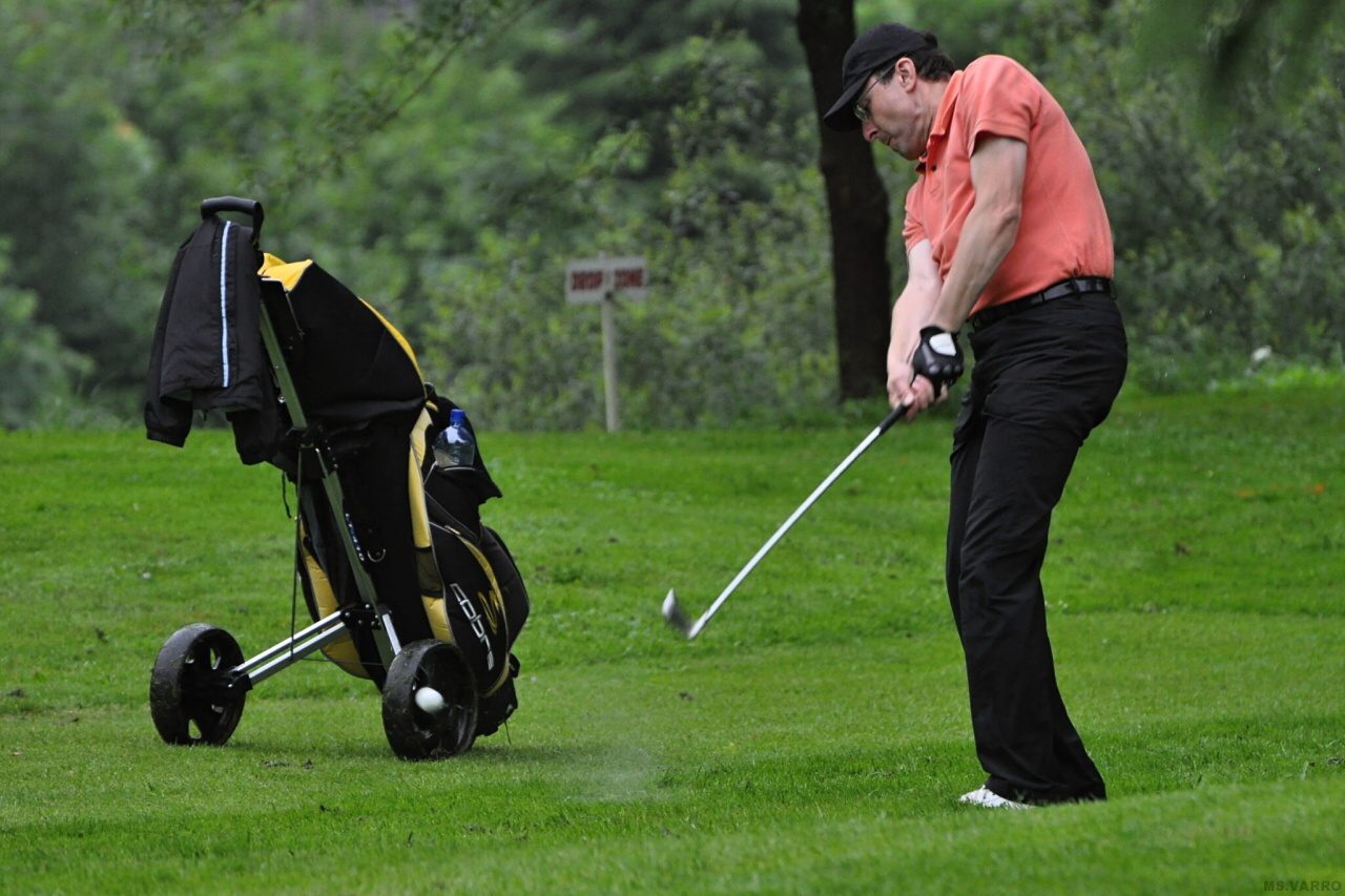 PDGC 2010 90