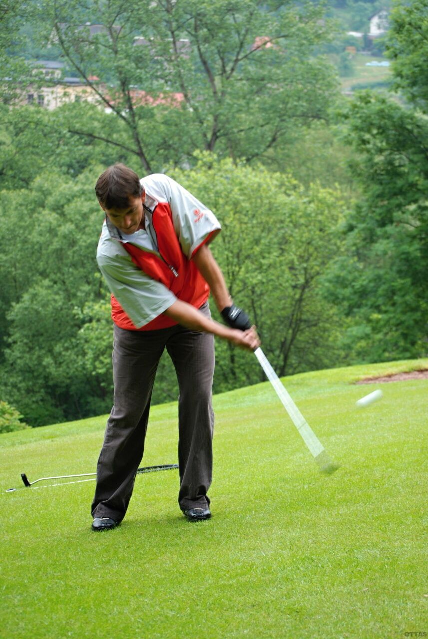 PDGC 2010 98