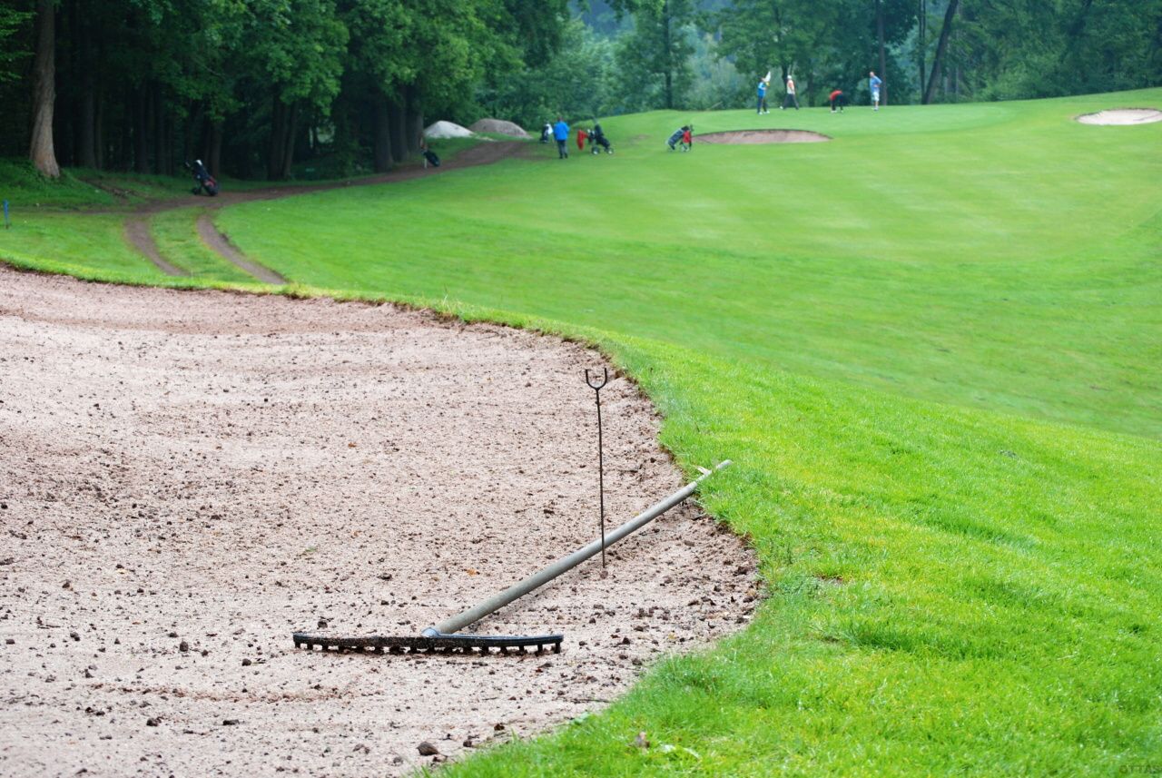 PDGC 2010 101