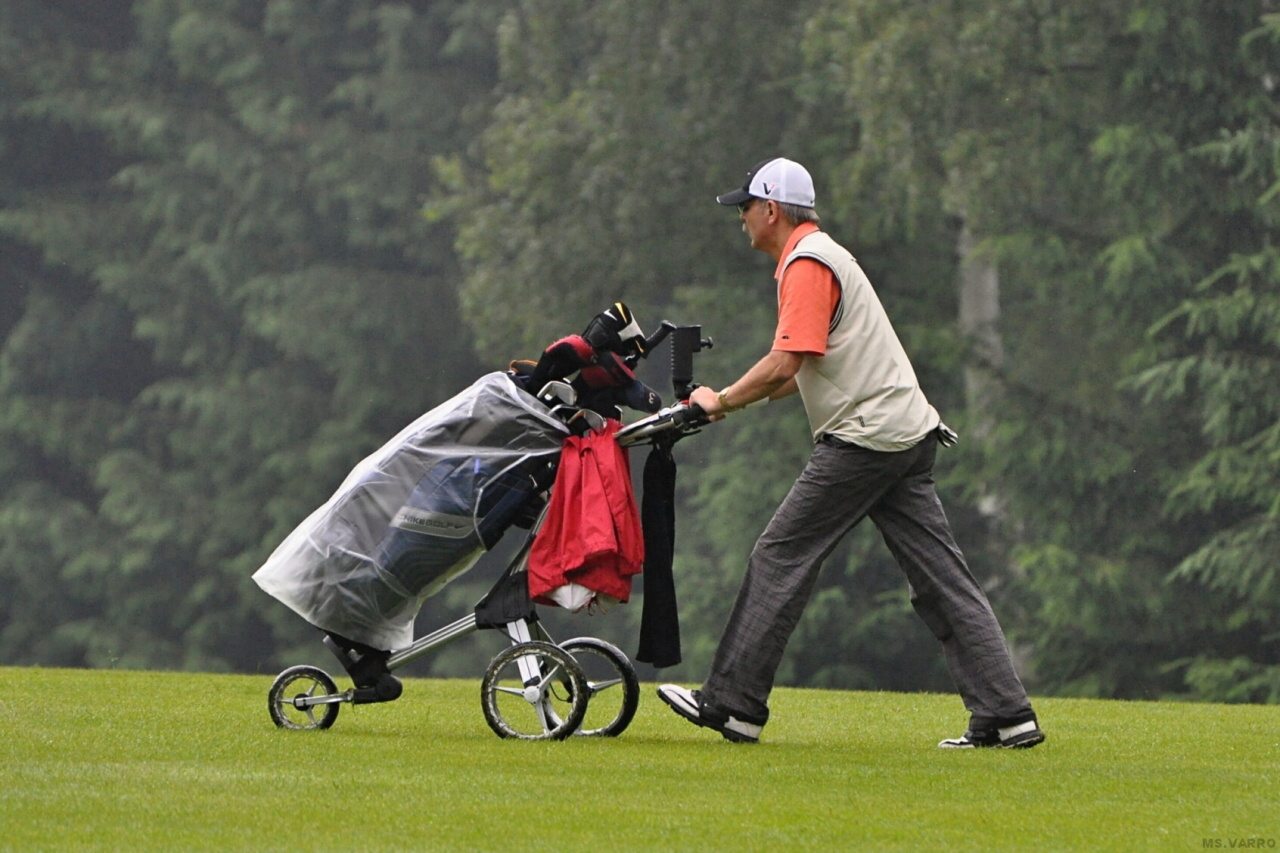 PDGC 2010 115