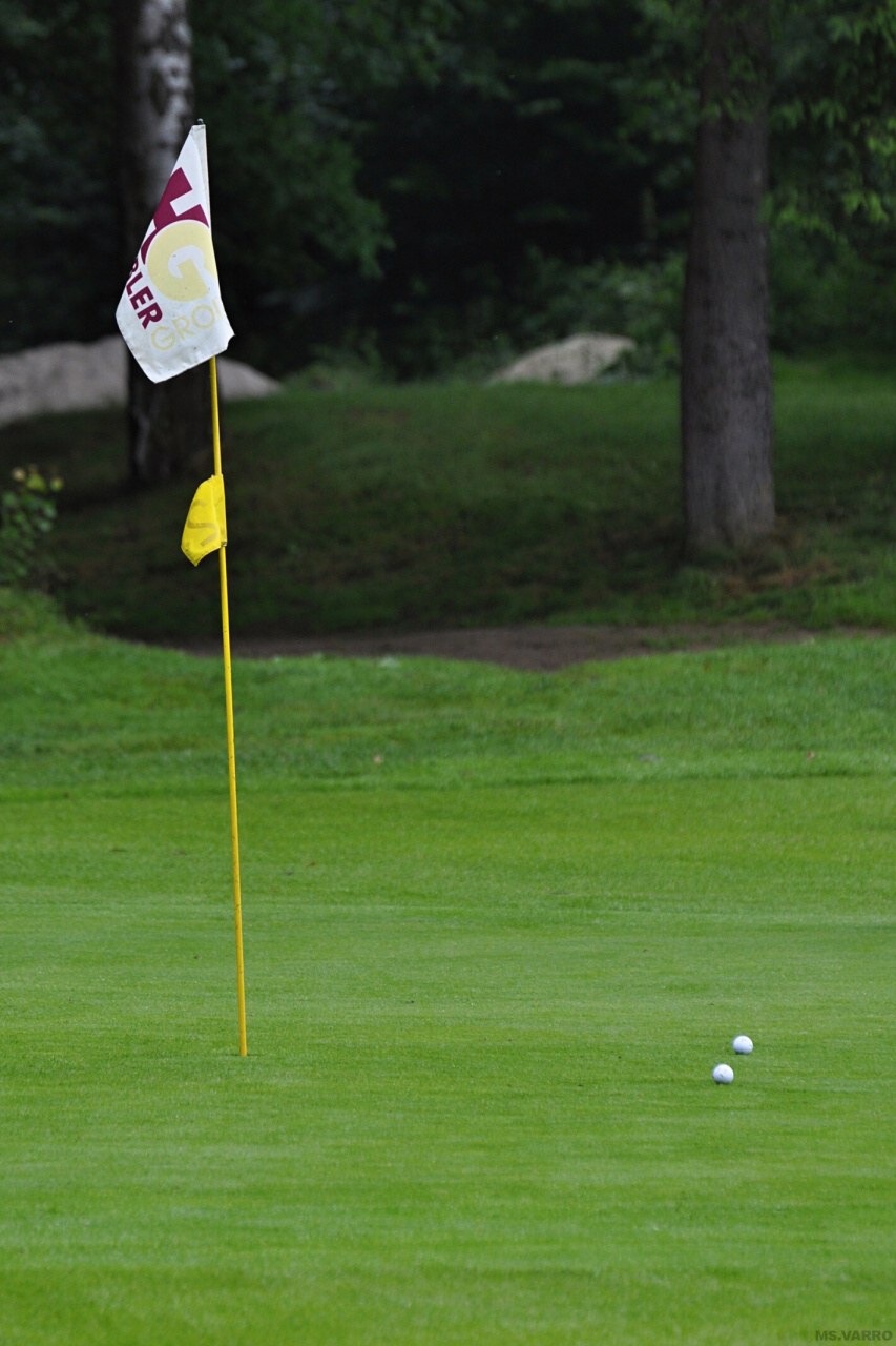 PDGC 2010 121