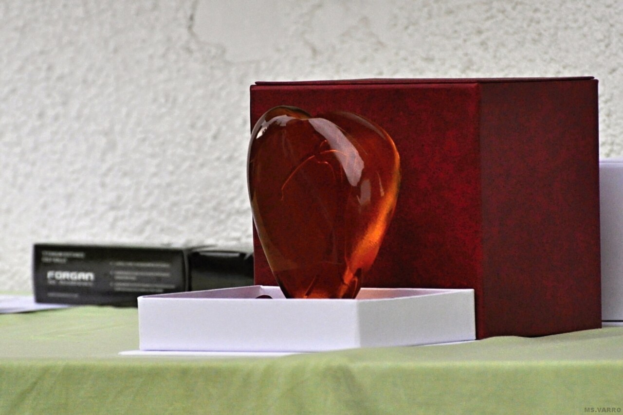 PDGC 2010 169
