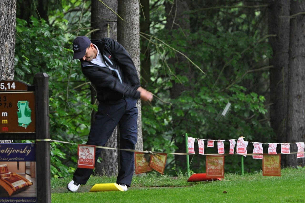 PDGC 2010 17