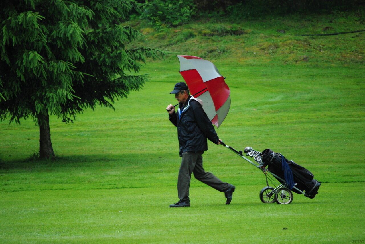 PDGC 2010 19
