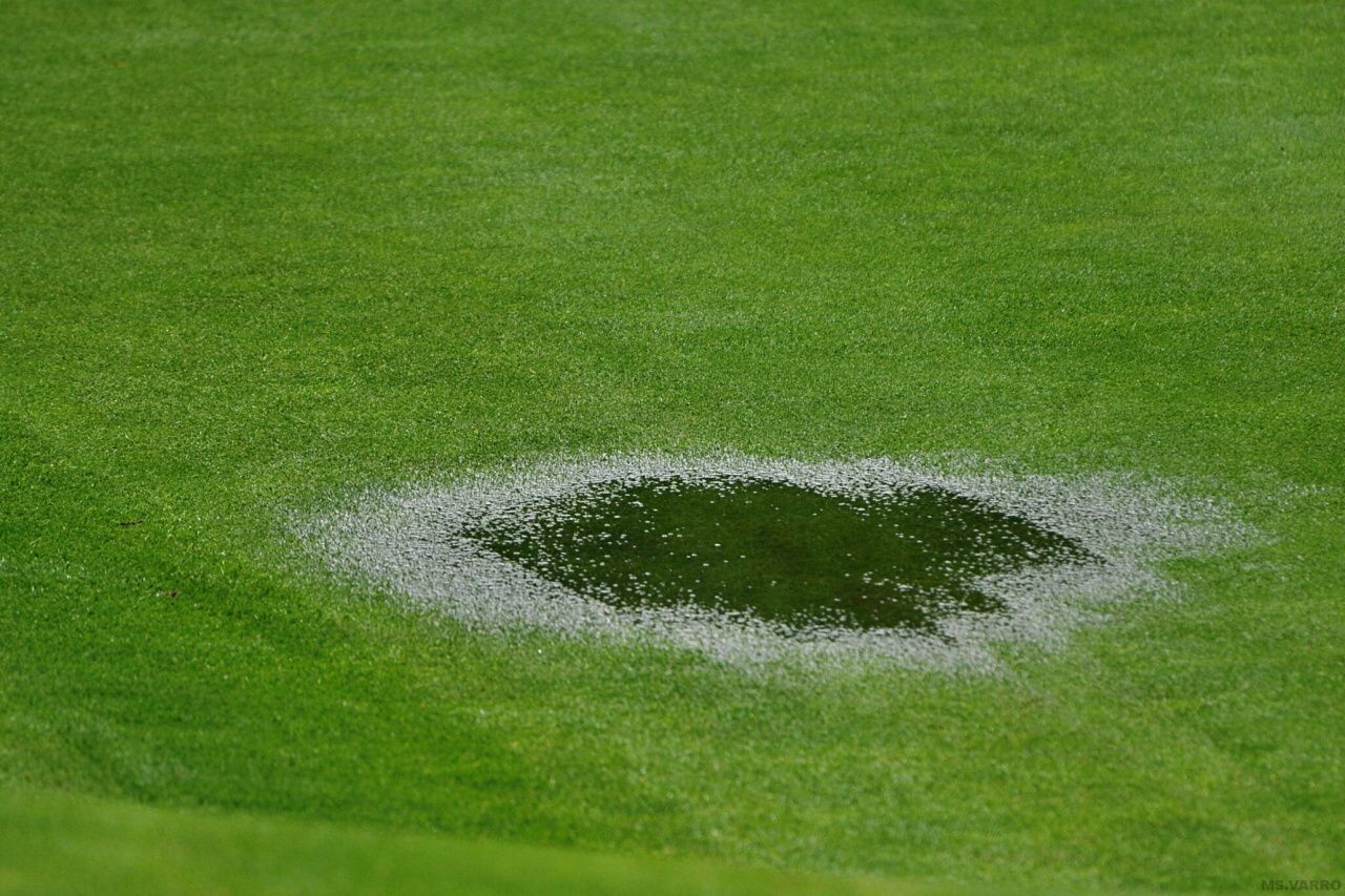 PDGC 2010 36